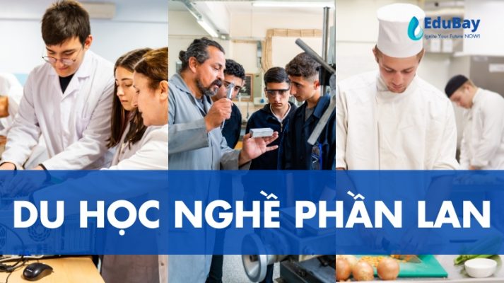 Du học nghề Phần Lan được nhiều du học sinh lựa chọn thay vì du học Bậc đại học vì tiềm năng cơ hội việc làm sau tốt nghiệp